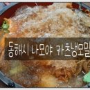동해-단속-10 | 동해시 매콤돈까스와 냉모밀 전문점 #나모야(동해점)의 살얼음 육수가 올려진 카츠냉모밀 리얼 후기♣