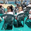 용인대 TM 태권도 이미지