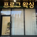 프로그왁싱 이미지