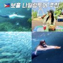 현지네 | 보홀 나팔링 셀프 투어 대신 현지투어 몽키호핑 후기