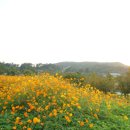 태양여행사주