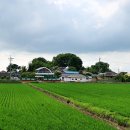 당산농장 이미지