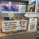 태평한돼지