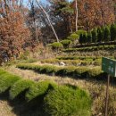 장기목장 이미지