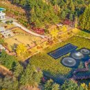 임신경로당 이미지