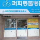 퍼피엔젤 반려동물 미용실 이미지