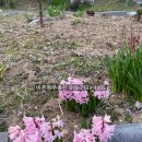 바른정부동산중개사무소 이미지