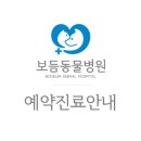 보듬 동물병원 이미지
