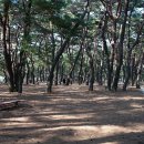 전천회관 티스토리