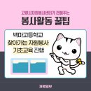 백마자원 이미지