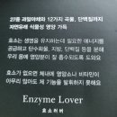 네이처플럽 이미지