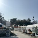 토리네 | 사천맛집 글램핑과 굴구이를 한번에 토리네굴구이 방문후기