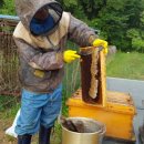 산골백두 이미지