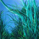 목원대학교 일반대학원 이미지