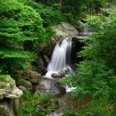 맑은계곡 이미지