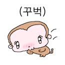 석모 포레 이미지