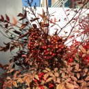 남천주유소 이미지