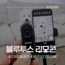 요이치 블루투스 리모콘, 뿌뿌와 함께 테스트 후기 #내돈내산