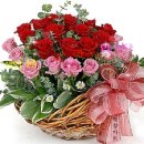 잔비어스 이미지