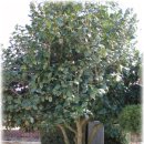 진례초등학교 이미지