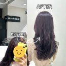 헤어노바 | 일산 미용실 추천 | 노바헤어 차분한 톤다운 레드 염색 후기