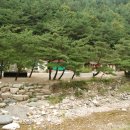 엄둔솔밭빌리지 이미지