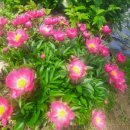 효림농장 이미지