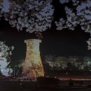 첨성대 - 경주시 | 첨성대