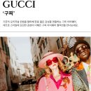 마이아이안경원 이미지