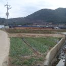 후계자축산 이미지