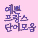 La vie avec champagne 인생은 샹파뉴와 함께 | 멋지고 예쁜 프랑스 단어모음