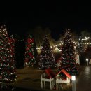 5890 | 전주 근교 트리카페 김제 오늘여기, 물멍하기 좋은 정원 테마와 크리스마스 트리 후기