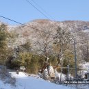 영산포홍어거리 이미지