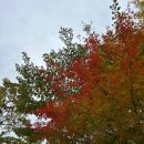 북한산한의원 이미지