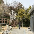 향우본가(식육식당) 이미지