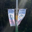 서울회센타 | 📍충청도 가볼 만한 곳｜당진 장고항 실치회 후기 '이걸 왜 먹나 했는데… '(+가격, 주차 꿀팁)”
