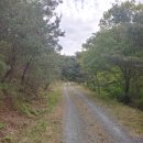 용전1리마을회관 이미지