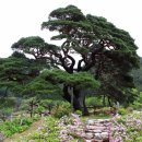 산솔마을 이미지