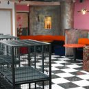 하조대비치하우스 이미지