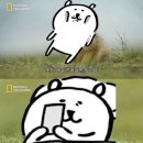 순환로3L | 대장내시경약 쿨프렙산 복용법 반응 식단 구토 후기