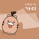 충남관광