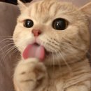 와따 PC 이미지