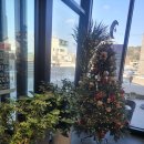 SK에너지 커피향셀프주유소 화장실 | [강원 강릉] 노암동 갈비 맛집 "수원왕갈비" 87세 할머니도 인정한 가족 외식 성지! 내돈내산 솔직 후기