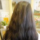 ZOOT HAIR(쥬트헤어)