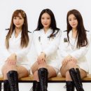 브레이브 걸스 카카오 검색결과