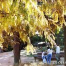 놀자놀자 이미지