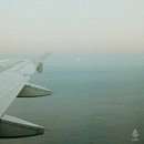 복지원예양성과정 이미지