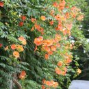 부천중앙공원 이미지