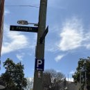 [Sydney Travel 2] 세상의 아름다움은 누군가의 피와 눈물로 다져진 땅 위에 정립되는 것