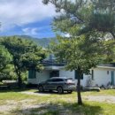 알천비빔국수 이미지